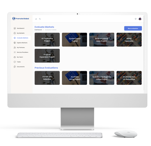 Promote Global AI case study